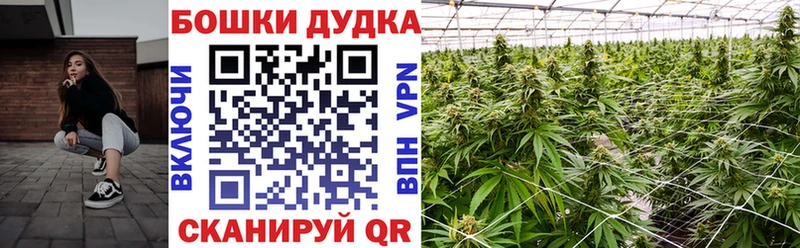 Марихуана Ganja  Щигры 